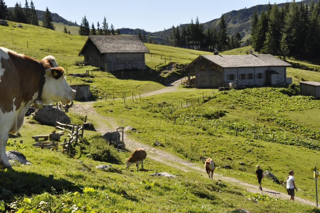 Landhaus Koller Gosau Exterior photo